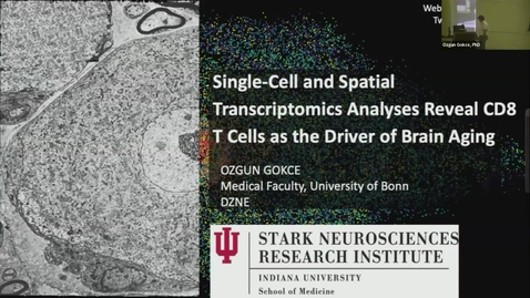 Thumbnail for SNRI Seminar Series: Ozgun Gokce | August 31, 2023