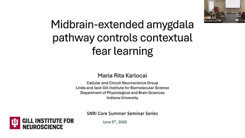 Thumbnail for SNRI Core Series: Rita Karlocai, PhD | June 5, 2025