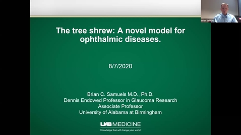 Thumbnail for The tree shrew: A novel model for ophthalmic diseases