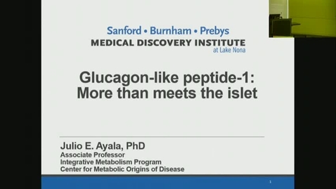 Thumbnail for Julia Ayala Ph.D.