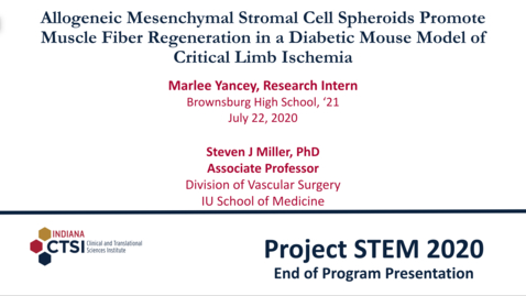 Thumbnail for Marlee Yancey Mentor Presentation