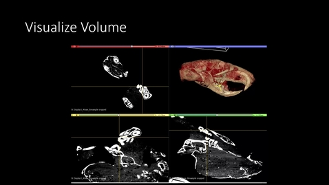 Thumbnail for entry Video 4 - Volume Processing Overview