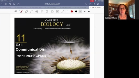 Thumbnail for K101_Ch11:Part1_CellSignaling