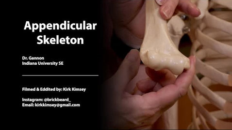 Thumbnail for Appendicular System