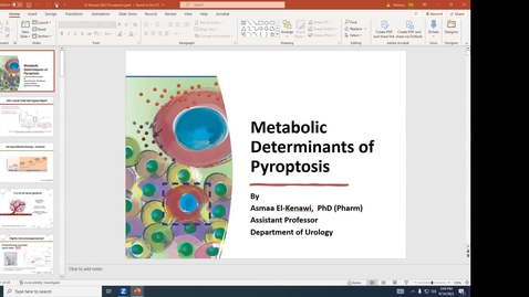 Thumbnail for IUSCCC Seminar 9/15/2023: “Metabolic Determinants of Pyroptosis”  Asmaa El-Kenawi, Ph.D.  Assistant Professor, Department of Urology, IU School of Medicine