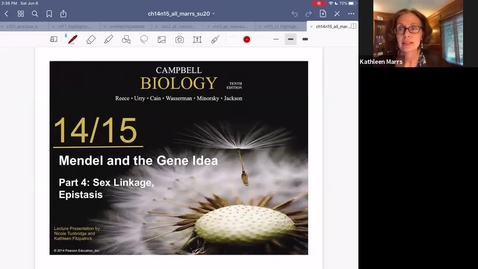 Thumbnail for K101_Ch14:Part4_SexLinkEpistasis