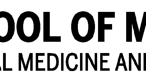 Thumbnail for Grand Rounds - ''Cerebral Palsy: Transitioning Care Into Adulthood'' - Dr. Alex Robitaille