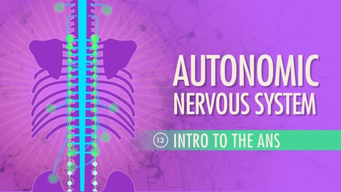 Thumbnail for entry Autonomic Nervous System: Crash Course A&amp;P #13