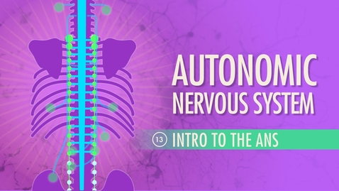 Thumbnail for Autonomic Nervous System: Crash Course A&amp;P #13