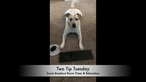Thumbnail for entry Tip Tuesday 23 - Zoom Breakout Room Timer &amp; Meditation