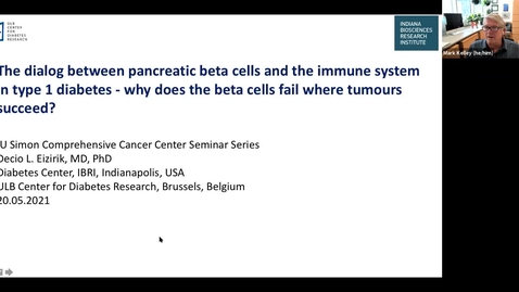 Thumbnail for IUSCCC Virtual Seminar Series 5/20/2021: “The dialog between pancreatic beta cells and the immune system in type 1 diabetes - why does the beta cells fail where tumours succeed?” Decio L. Eizirik, M.D., Ph.D. Professor, 
ULB Center for Diabetes Researc