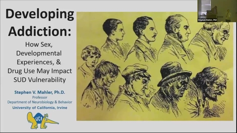 Thumbnail for SNRI Seminar Series Stephen Mahler, PhD, November 21, 2024
