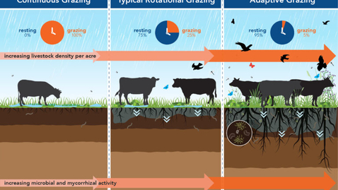 Thumbnail for Leveraging Livestock for Local, State and Regional Agriculture Transitions