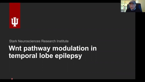 Thumbnail for SNRI Virtual Seminar Series - Kunal Gupta, MD, PhD