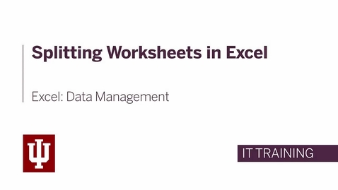 Thumbnail for entry Excel: Data Management - Splitting the Worksheet