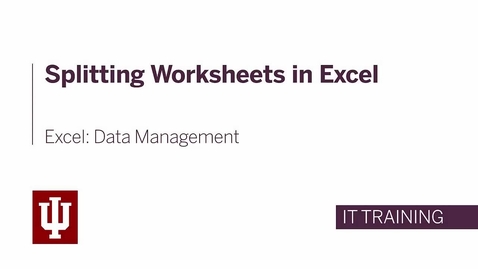 Thumbnail for Excel: Data Management - Splitting the Worksheet