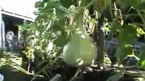 Thumbnail for Growing a Seed 2 S4_3 (Converted)