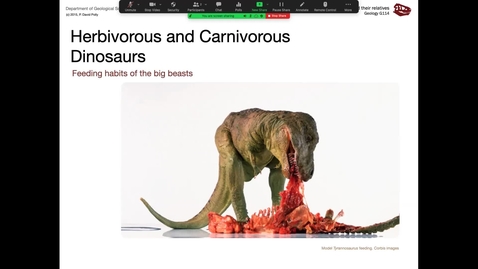 Thumbnail for Lecture 11 (Sept 30) - Carnivores and herbivores
