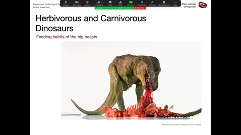 Thumbnail for entry Lecture 11 (Sept 30) - Carnivores and herbivores