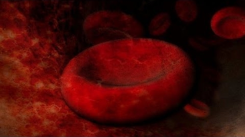 Thumbnail for 25 Crazy Things You Might Not Know About Blood