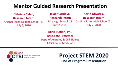 Thumbnail for Plotkin's Lab Mentor Presentation
