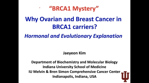 Thumbnail for IUSCCC Seminar Series 3/23/2023: “BRCA 1Mystery – Why Ovarian and Breast Cancer in BRCA1 Carriers – Hormonal and Evolutionary explanation” Jaeyeon Kim