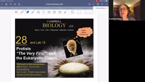 Thumbnail for K101_Ch28_Part1_Protista