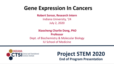 Thumbnail for Robert Sorsor Mentor Presentation