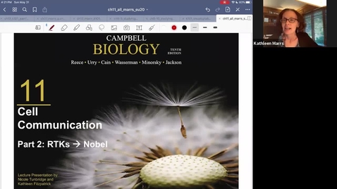 Thumbnail for K101_Ch11:Part2_CellSignaling