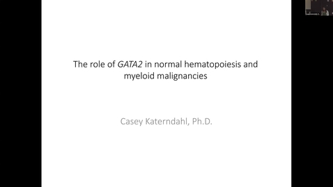 Thumbnail for IUSCCC Seminar 11/13/2025: “The role of GATA2 in hematopoiesis and Acute Myeloid Leukemia Casey” D.S. Katerndahl, Ph.D. Assistant Professor Department of Pathology &amp; Laboratory Medicine Indiana University School of Medicine