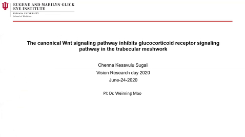 Thumbnail for entry The canonical Wnt signaling pathway inhibits glucocorticoid receptor signaling pathway in the trabecular meshwork