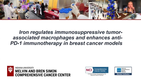Thumbnail for IUSCCC Grand Rounds 9/19/2025: &quot;Iron regulates immunosuppressive tumor-associated macrophages and enhances anti-PD-1 immunotherapy in breast cancer models.&quot;Mateusz Opyrchal, MD, PhD