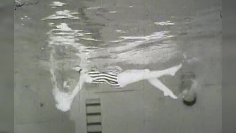 Thumbnail for Swimmers of All Stripes