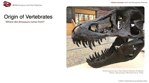 Thumbnail for Lecture 07 - Origin of Vertebrates