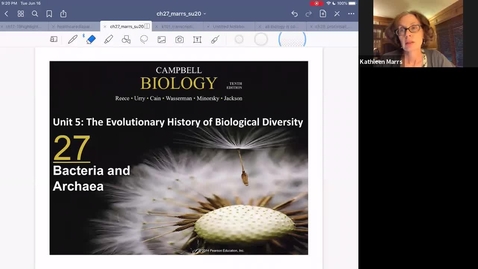 Thumbnail for K101_Ch27_BacteriaArchaea