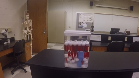 Thumbnail for Cell Membrane Model