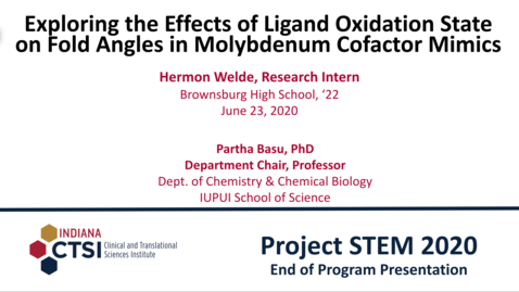 Thumbnail for Hermon Welde Mentor Presentation