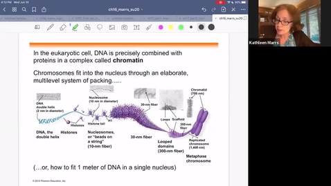 Thumbnail for K101_Ch16:Part2_DNA_Replication