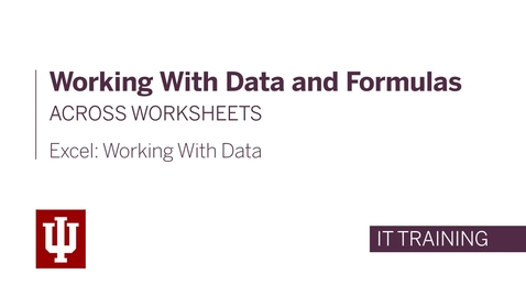 Thumbnail for entry Excel: Working with Data - Working with Data and Formulas Across Worksheets