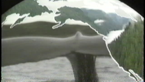 Thumbnail for Communism Legacy of Pollution