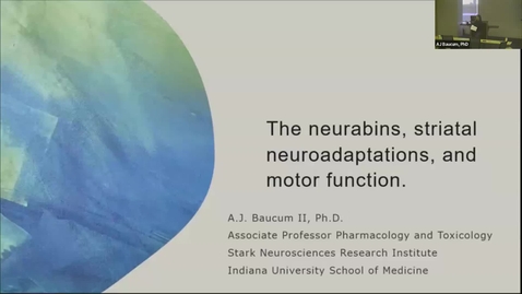 Thumbnail for SNRI Seminar Series AJ Baucum, PhD, October 17, 2024