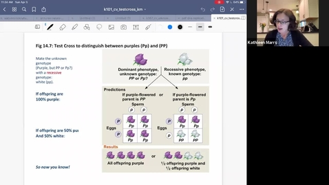 Thumbnail for K101_Ch14:Part3A_TestCross_Tutorial