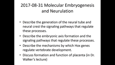 Thumbnail for IUSM WL - HS - Molecular embryogenesis and neurulation - 170831 - Fai