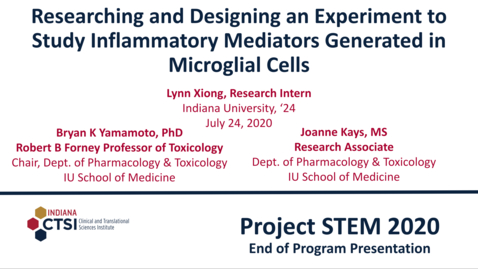 Thumbnail for Lynn Xiong Mentor Presentation