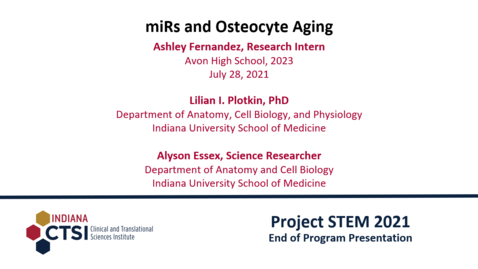 Thumbnail for Ashley Fernandez