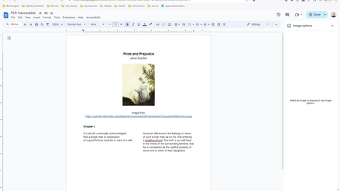 Thumbnail for P&amp;P: Inaccessible: Image