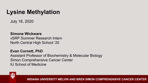 Thumbnail for Simone Wickware Mentor Presentation