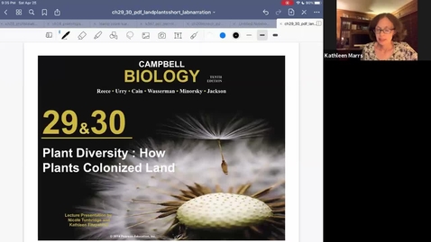 Thumbnail for K101_Ch30_Gymosperms_Angiosperms