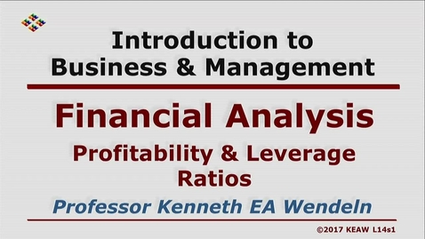 Thumbnail for X100 14-1 Profitability &amp; Leverage Ratios