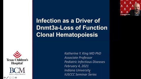 Thumbnail for IUSCCC Virtual Seminar Series 2/4/2021: “Infection as a Driver of Dnmt3a-Loss of Function Clonal Hematopoiesis” Katherine King, MD, PhD, Associate 
